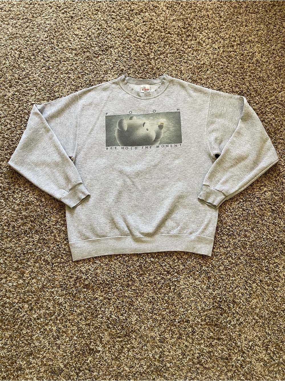 Vintage Disney Store Winnie The Pooh Bee Hold The Moment Sweatshirt Gray L